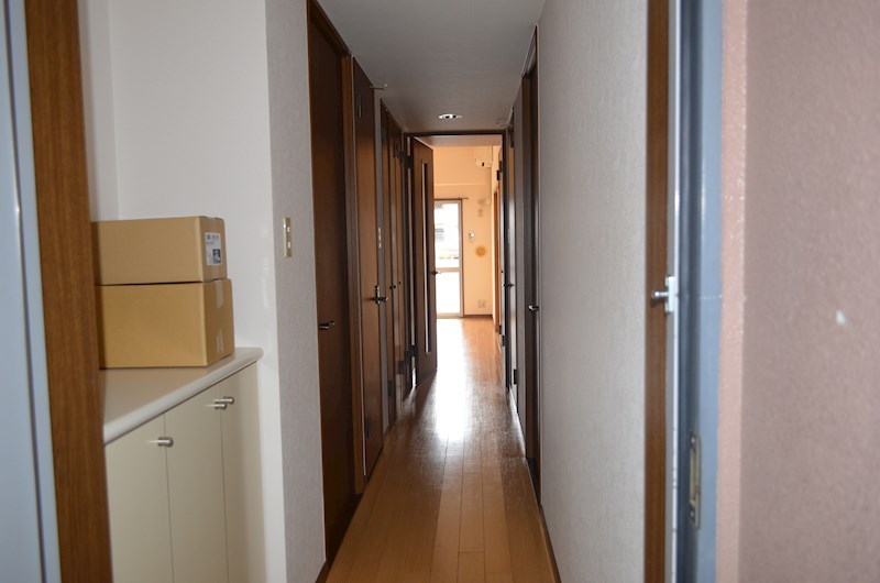 ROYAL RAISIN その他11