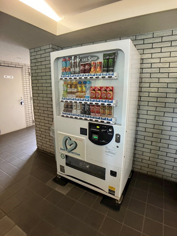 ROYAL RAISIN その他22