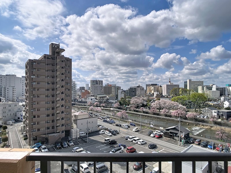 ネオニシキ その他6