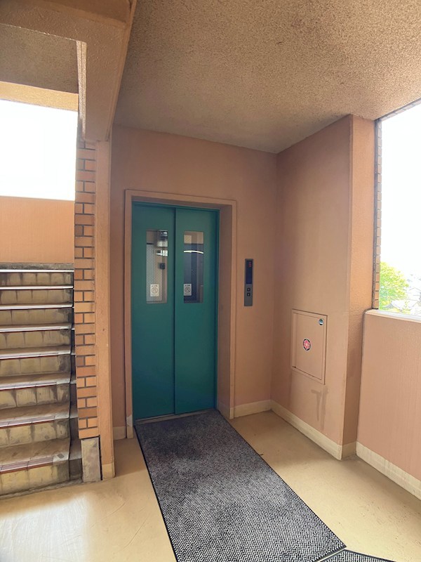 ネオニシキ その他9