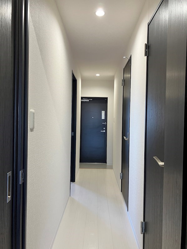 PLACIDES その他14