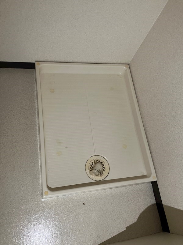 メゾングリーンモールⅡ その他14