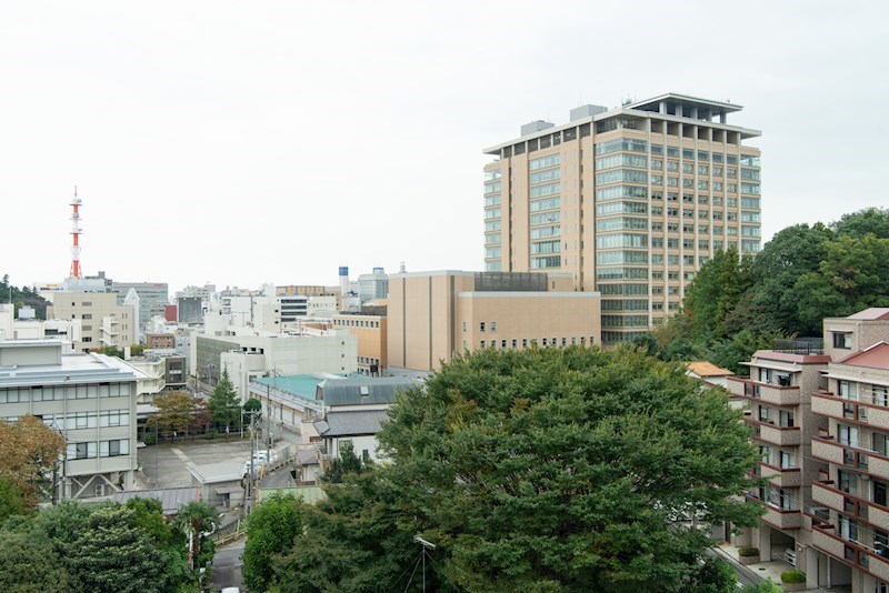 グリーンハイツ その他24