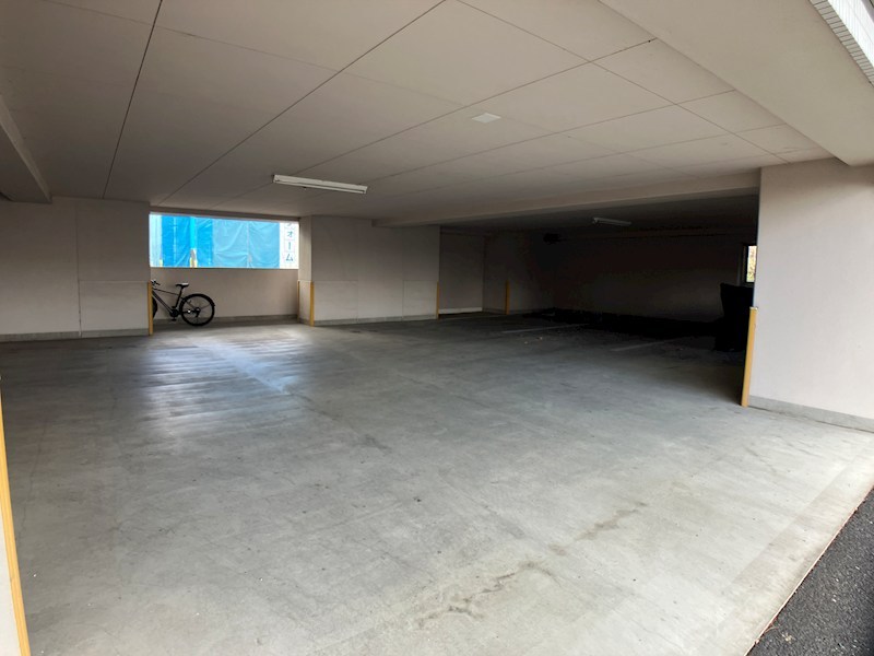 ロイヤル金信Ⅳ その他10