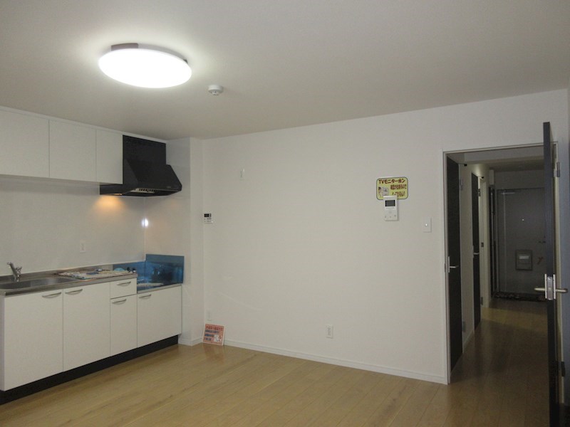 ルミライズ その他8