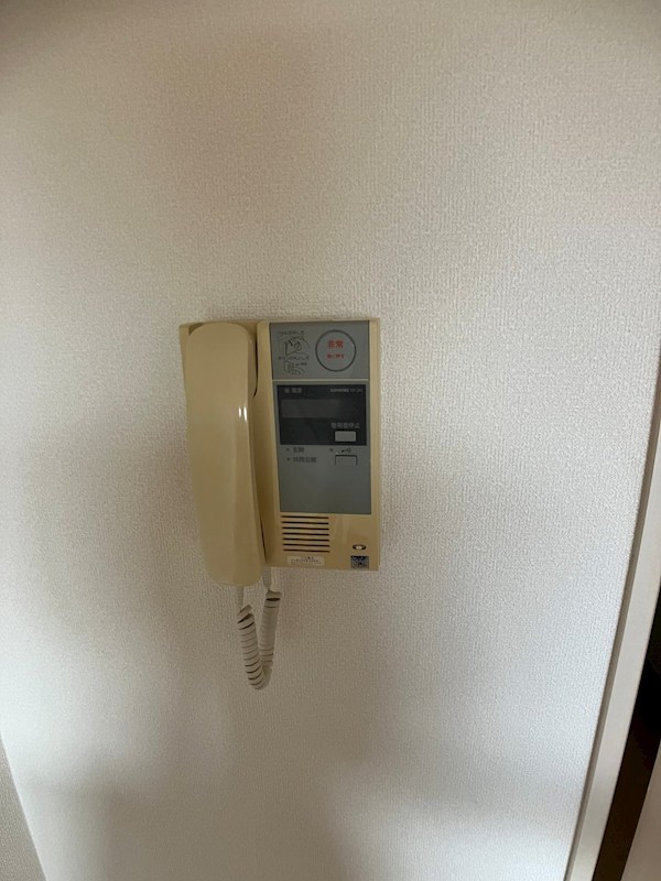 LOTUS MARSH元今泉 その他4