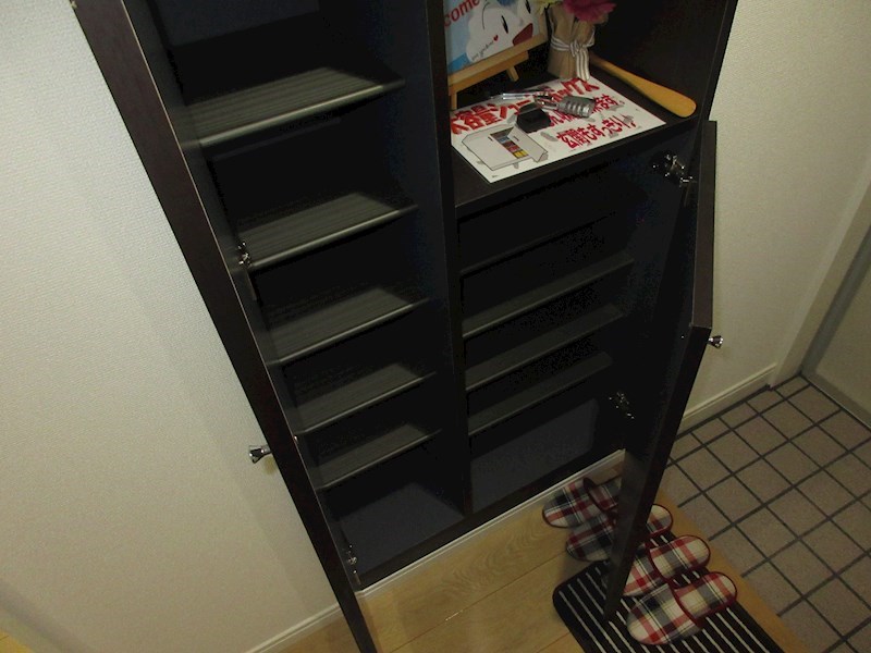 ルミライズ その他12