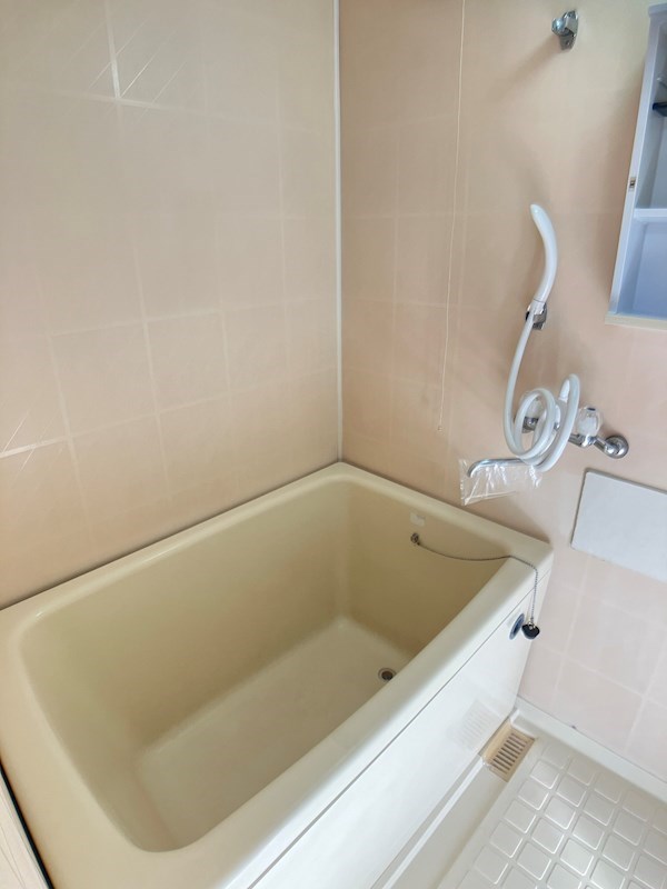 エール・ド・シャトーⅠ 風呂画像