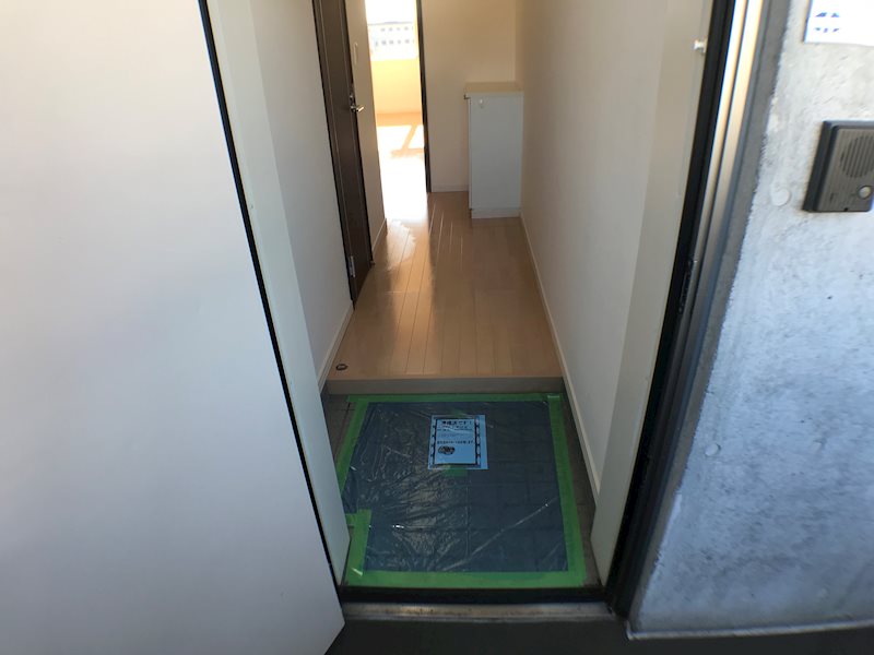 パレス・ド・ルミーネ 玄関