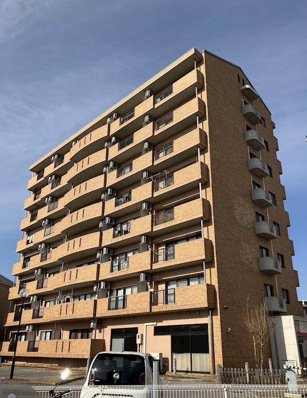 ネオニシキ その他17