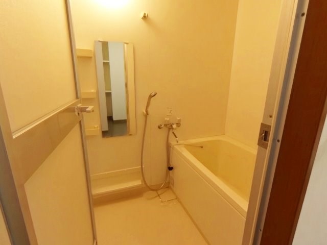 ザ・ミレニアムタワー 風呂画像