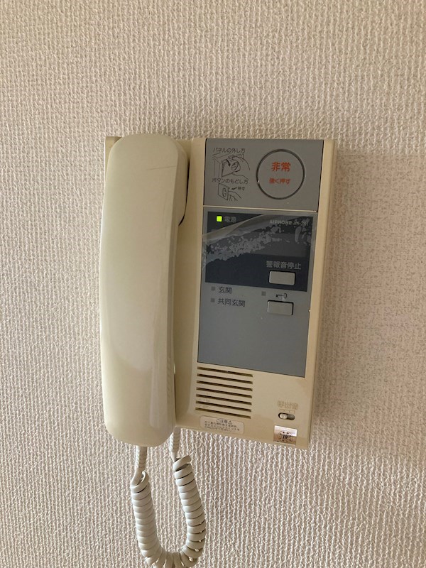 LOTUS MARSH元今泉 その他3