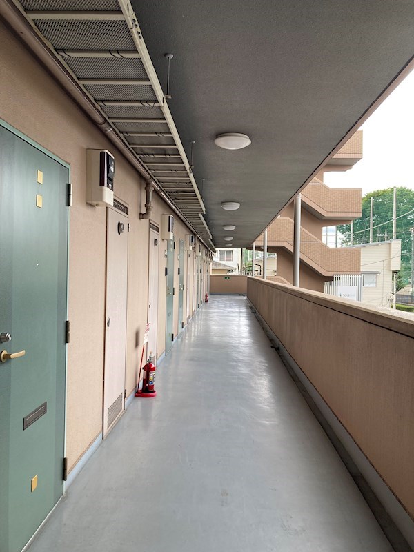 LOTUS MARSH元今泉 その他20