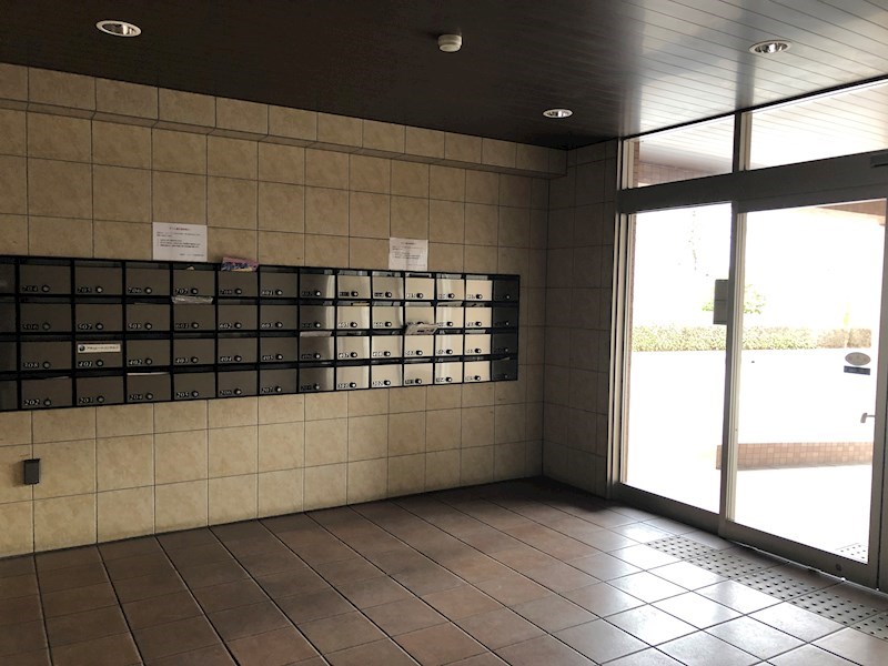 LOTUS MARSH元今泉 その他23