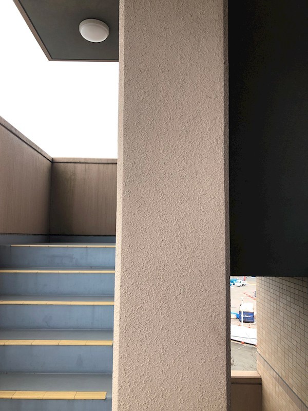 LOTUS MARSH元今泉 その他8