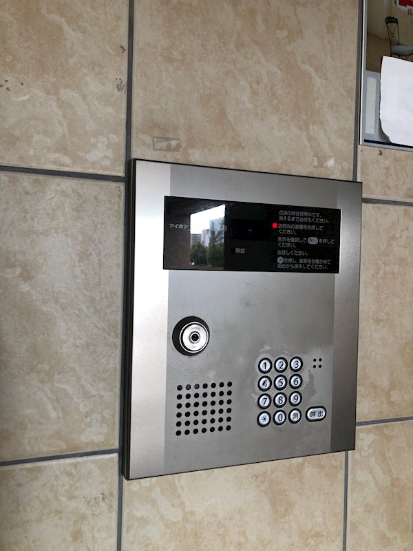 LOTUS MARSH元今泉 その他10