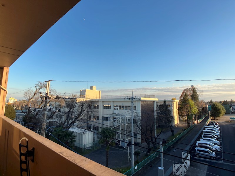 キング・ペレ その他5