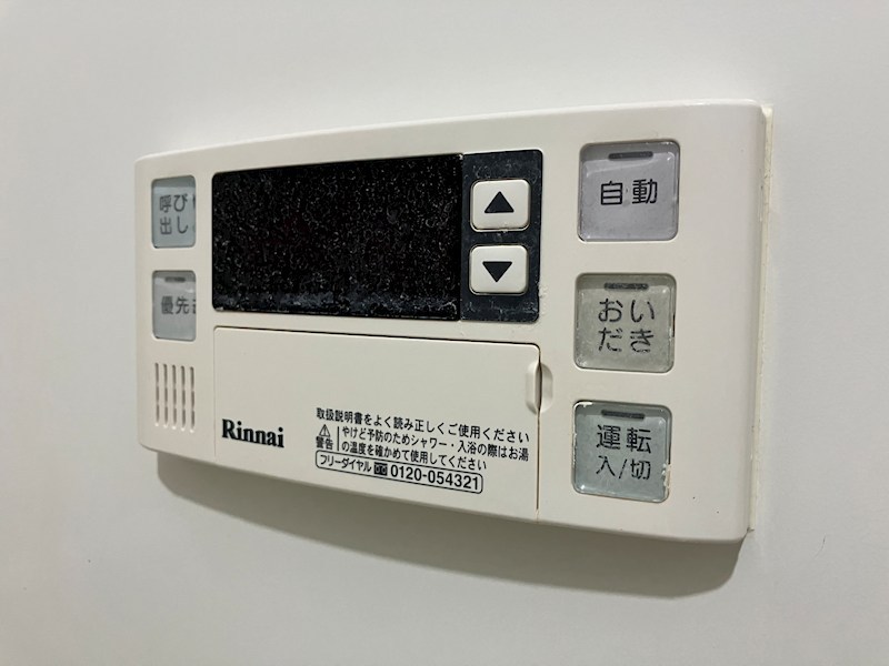 キング・ペレ その他12