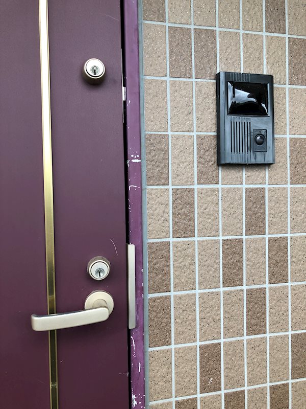 キング・ペレ その他15