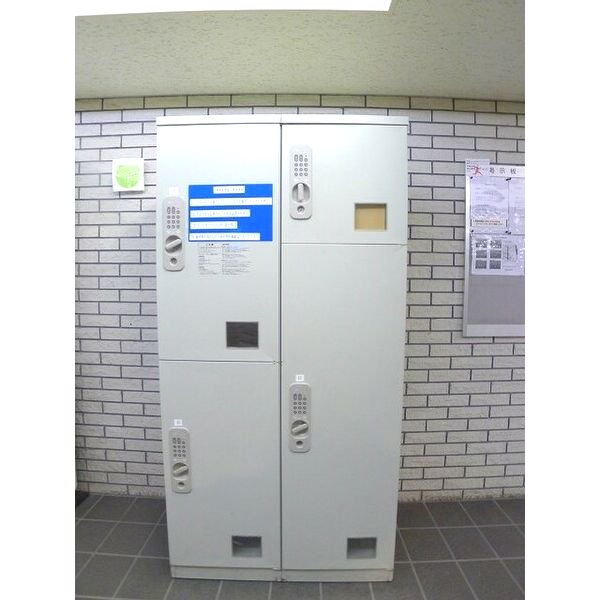 ROYAL RAISIN その他6