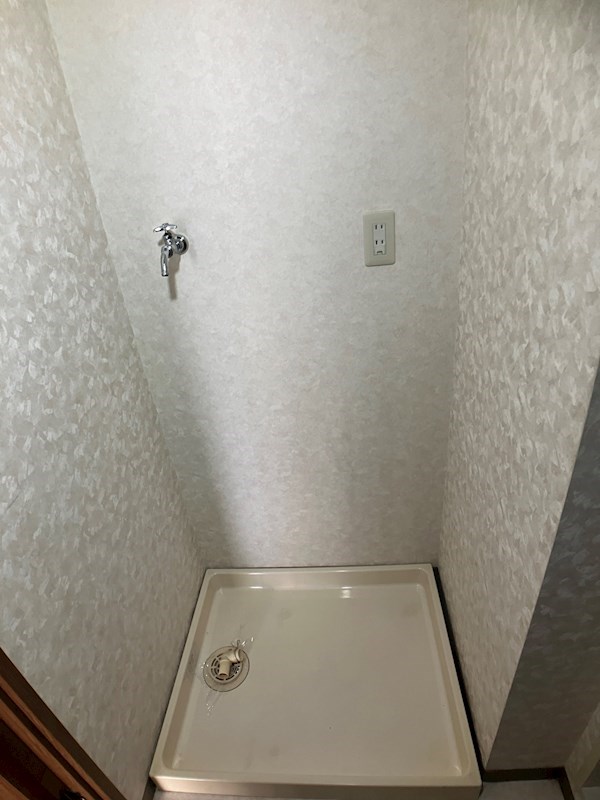 ROYAL RAISIN その他4