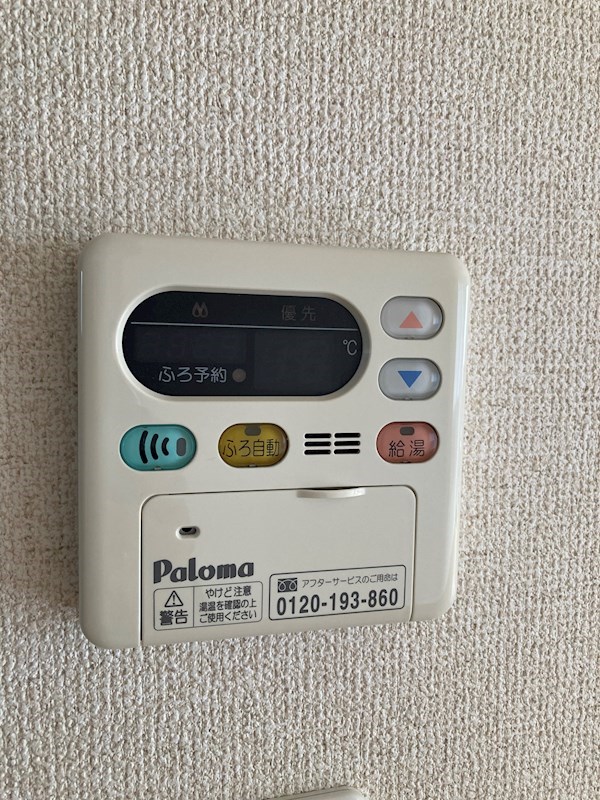 リシャールⅡ その他6