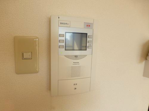 ネオニシキ その他4