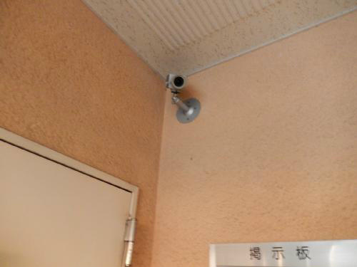 ネオニシキ その他10