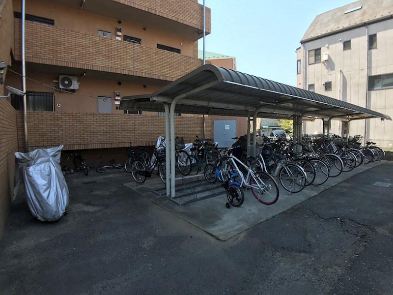 ネオニシキ その他23