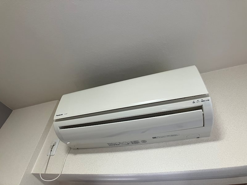 ネオニシキ その他