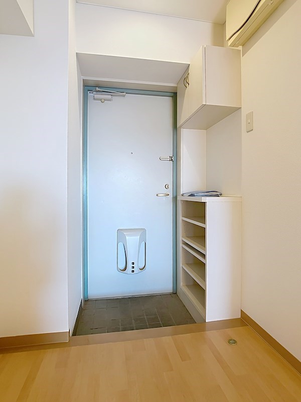 LOTUS MARSH元今泉 その他12