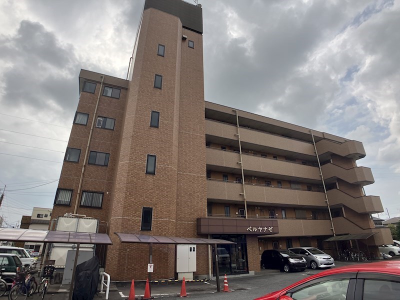 ベルヤナゼ その他10