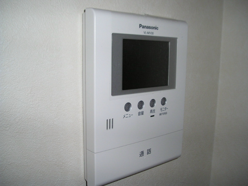 Ｙヨウトウ７パナメゾン その他3