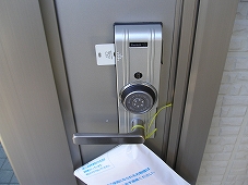 Ｙヨウトウ７パナメゾン その他9