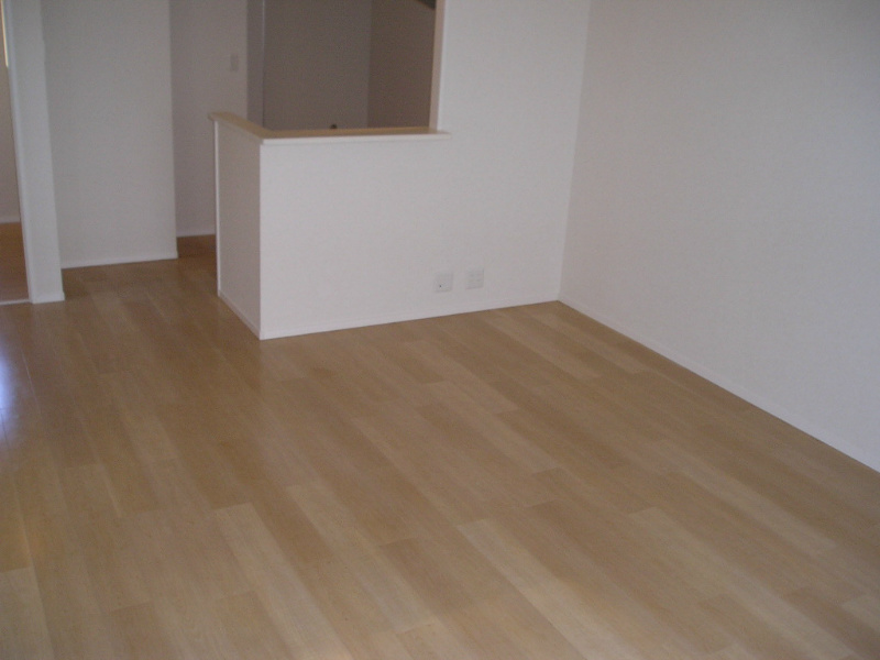 Ｙヨウトウ７パナメゾン その他11