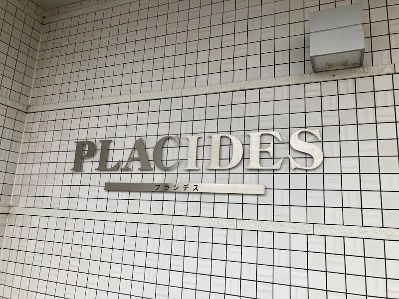 PLACIDES その他10