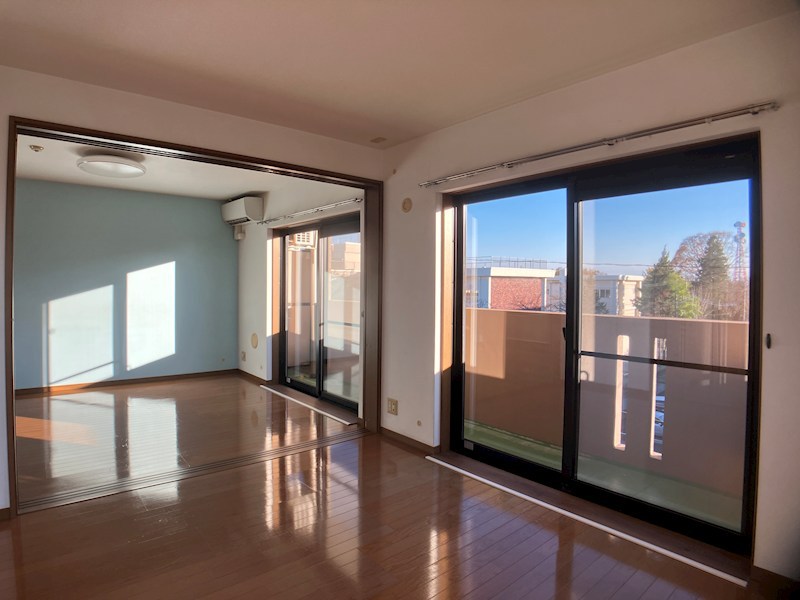 キング・ペレ その他9