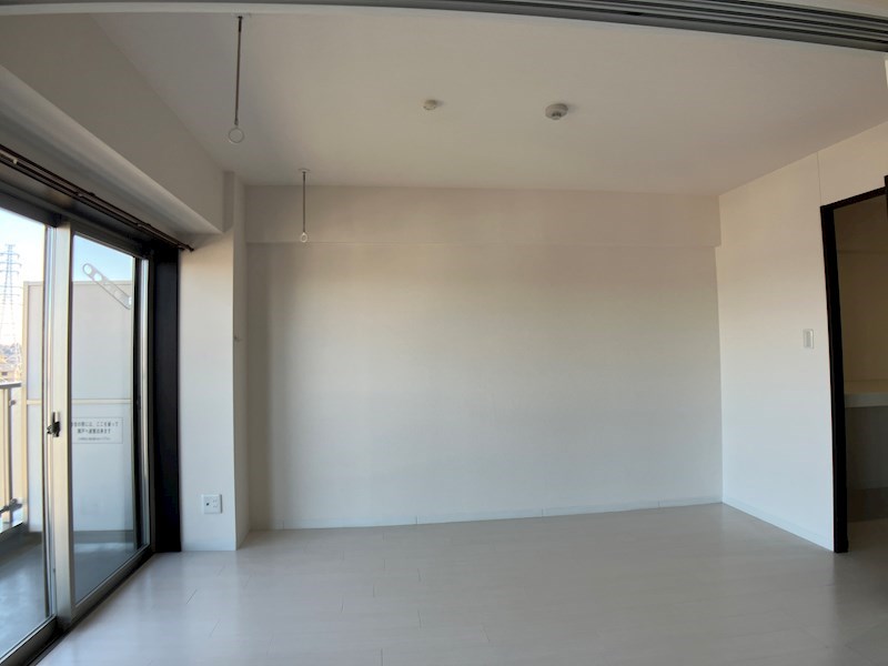 PLACIDES その他11