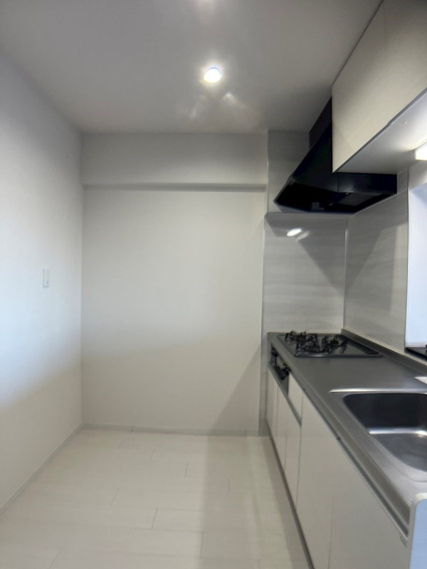 PLACIDES その他19