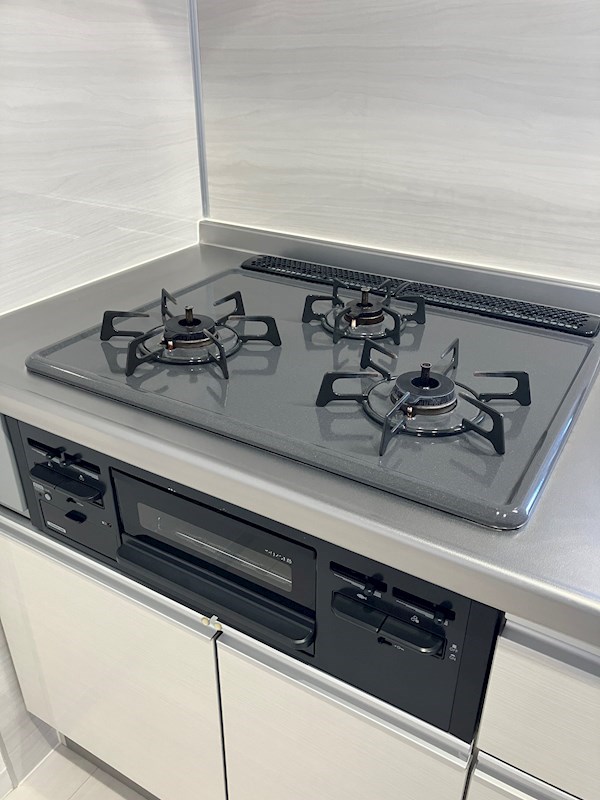 PLACIDES その他20