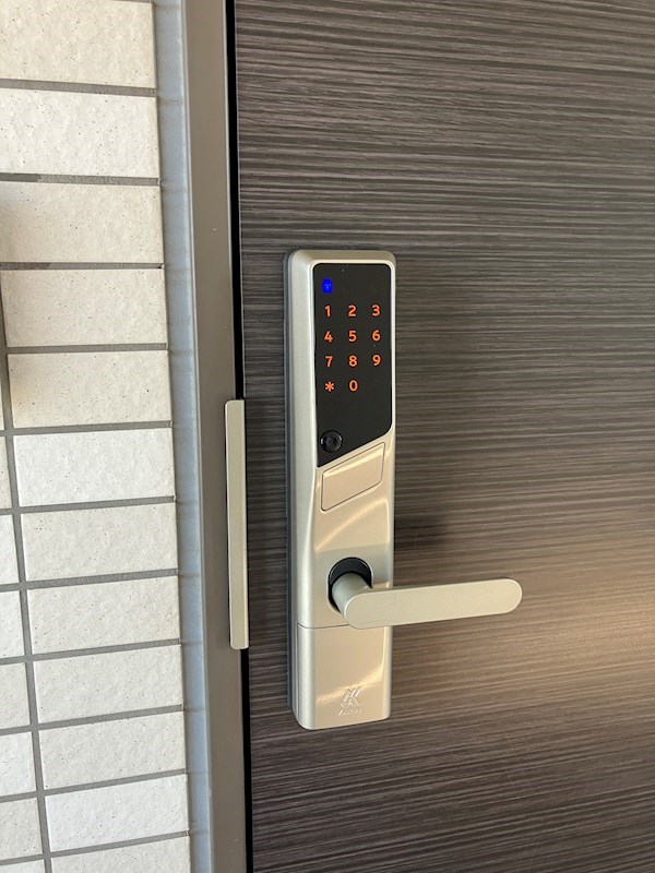 PLACIDES その他24