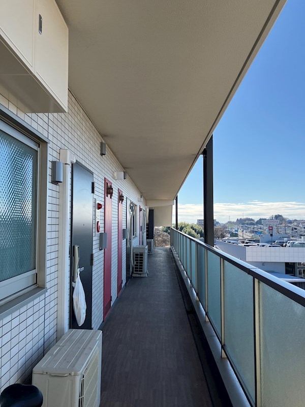 PLACIDES その他26