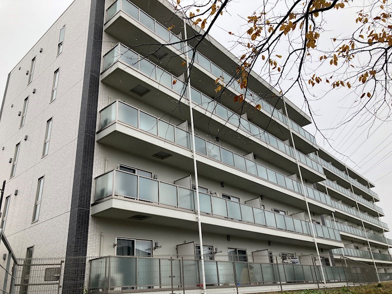 PLACIDES その他28