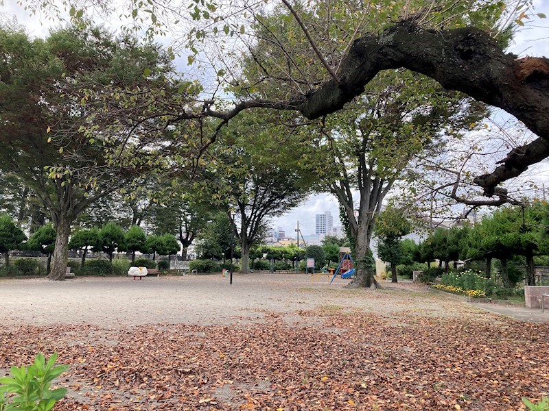 Sakura　Riant(サクラ　リア) その他19