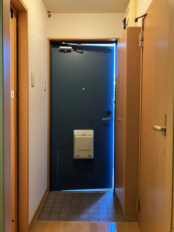 グリーンシャトリエⅡ 玄関