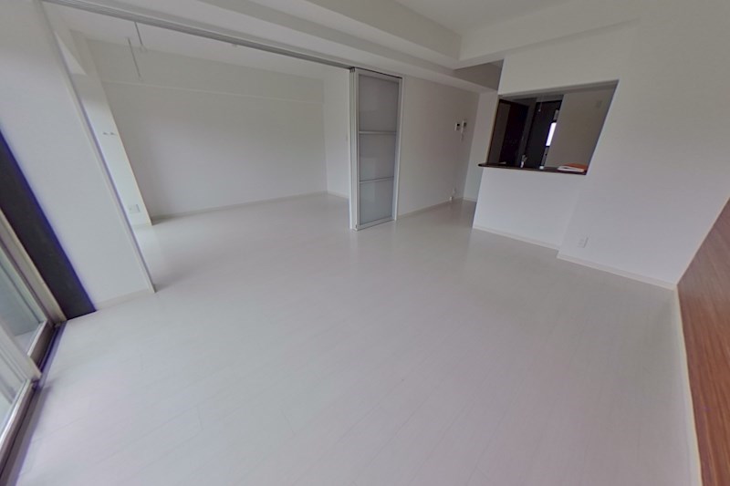 PLACIDES その他15