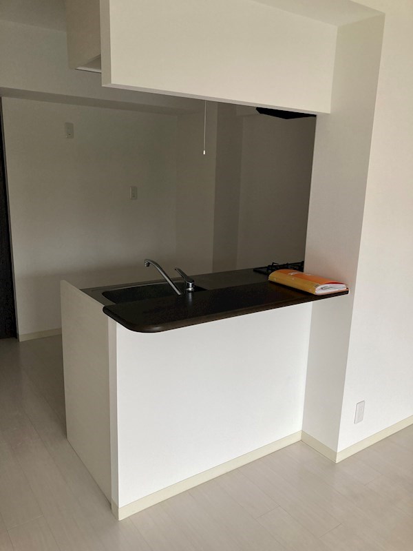 PLACIDES その他17