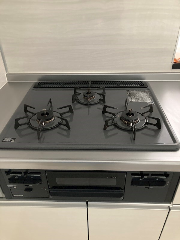 PLACIDES その他12