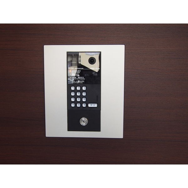 PLACIDES その他21