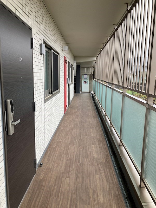 PLACIDES その他22